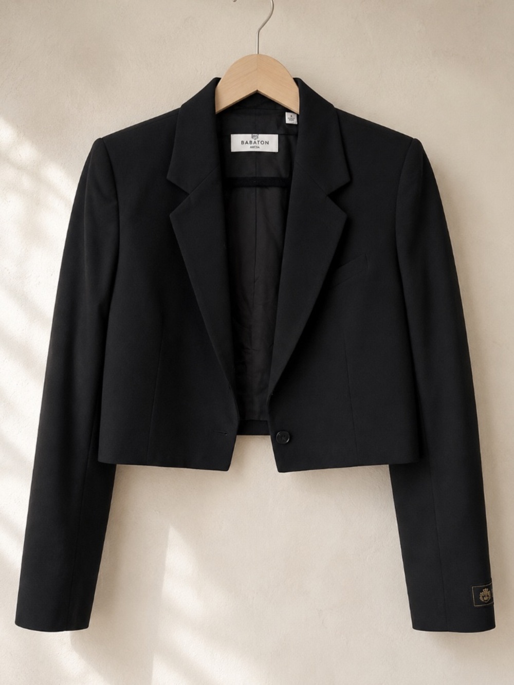 Aritzia Babaton Arbus Blazer